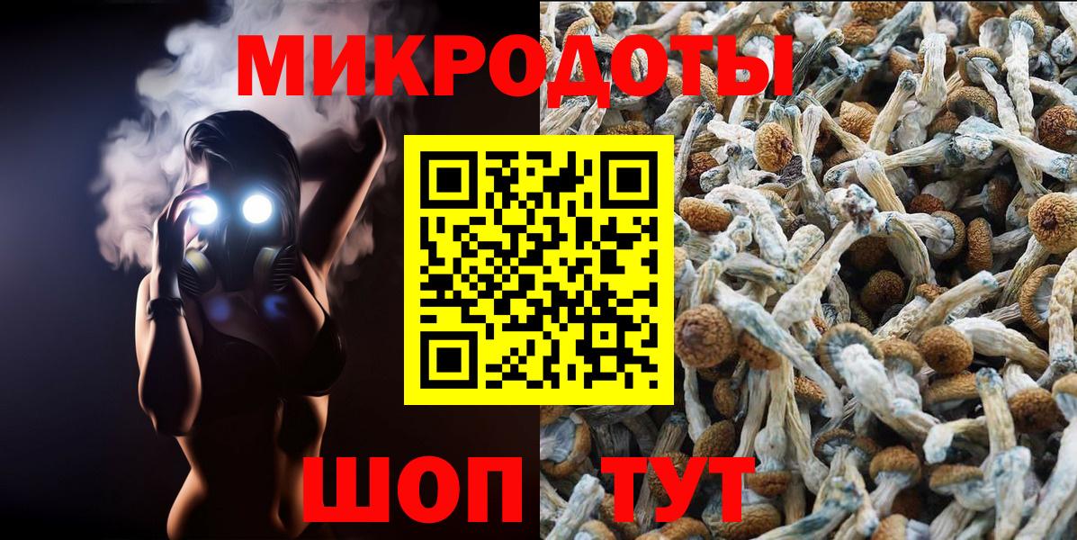 Галлюциногенные грибы мицелий Родники