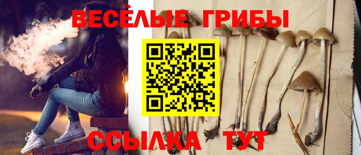 Родники  цена наркотик  Вход с VPN  Псилоцибиновые грибы Psilocybe 